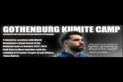 Raul Kumite Camp 2026