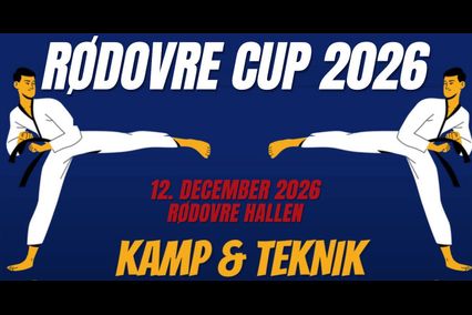 Rødovre Cup, kamp & teknik