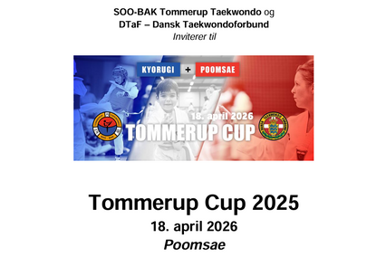 Tommerup Cup Teknik