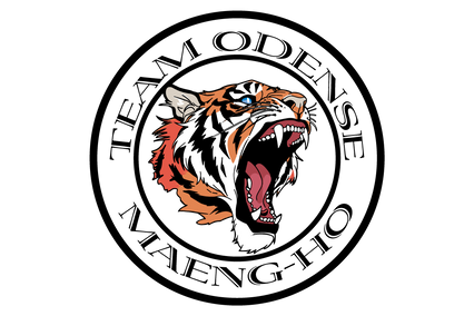 Kursus: Effektivt Selvforsvar