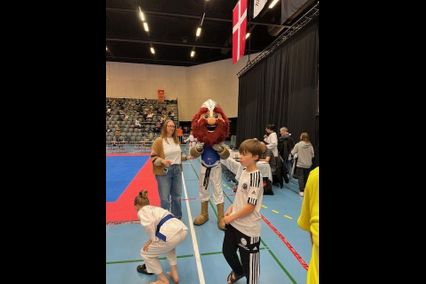 Frivillig Hjælper til DM Taekwondo 2026